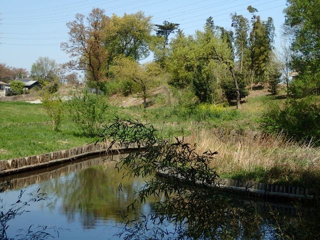 P4070043