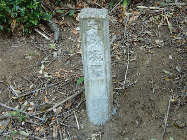 P4070045