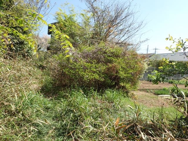 P4070048