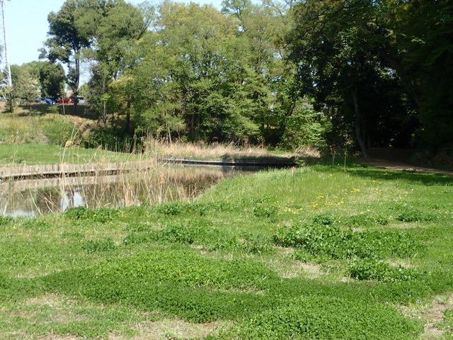 P4070051