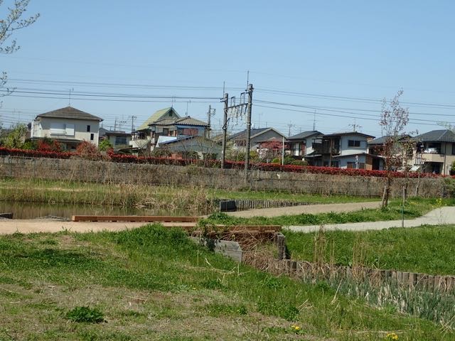 P4070052