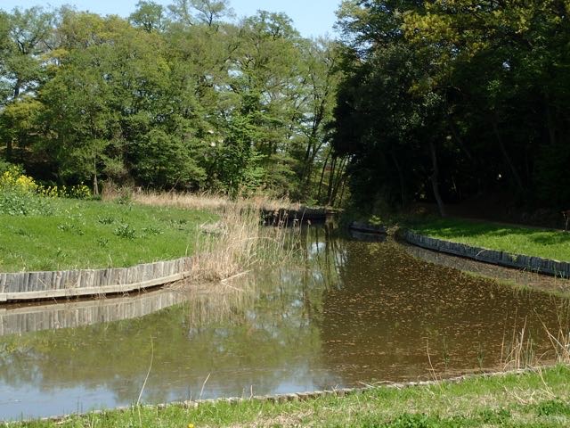 P4070053