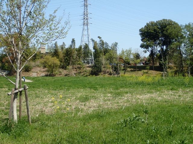 P4070064