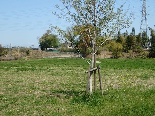 P4070065