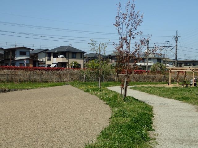 P4070068