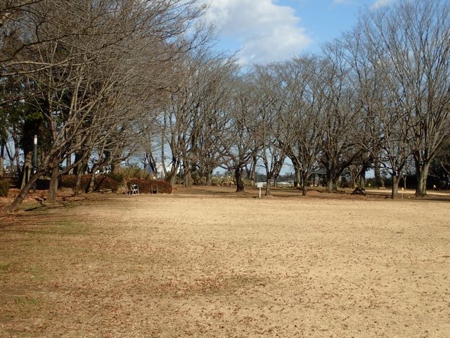P1210022