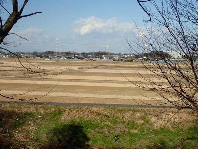 P1210035