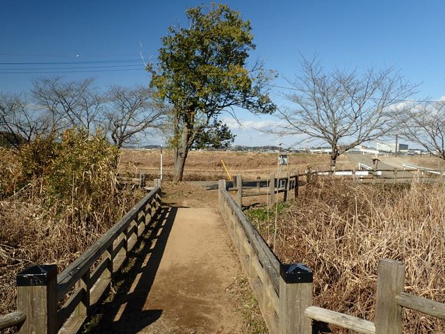 P1210095