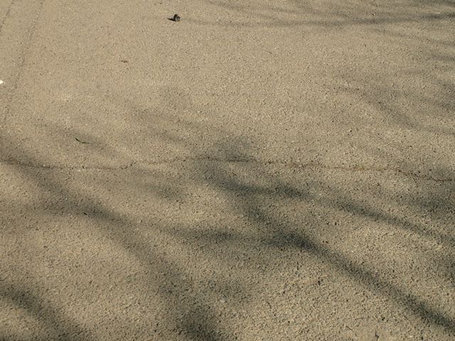P1210130