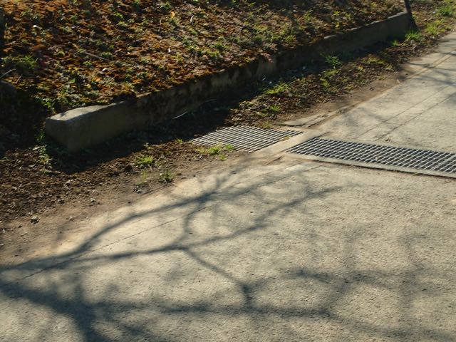 P1210134