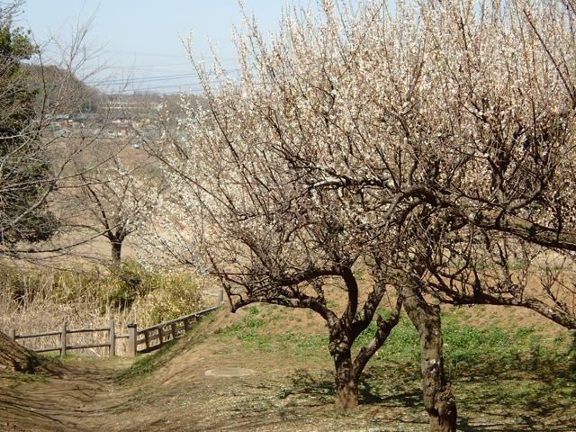 P3100003