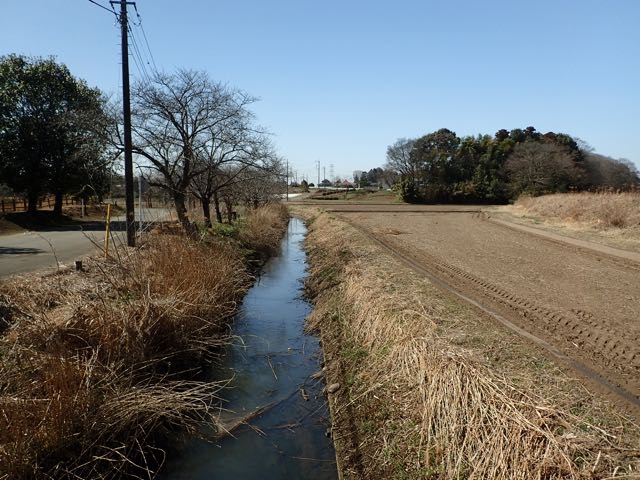 P3100018