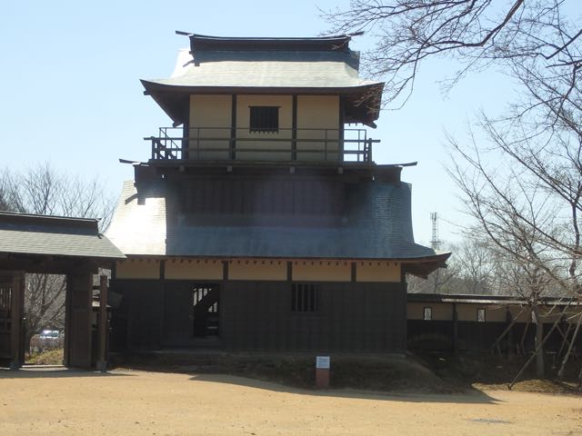 P3100049