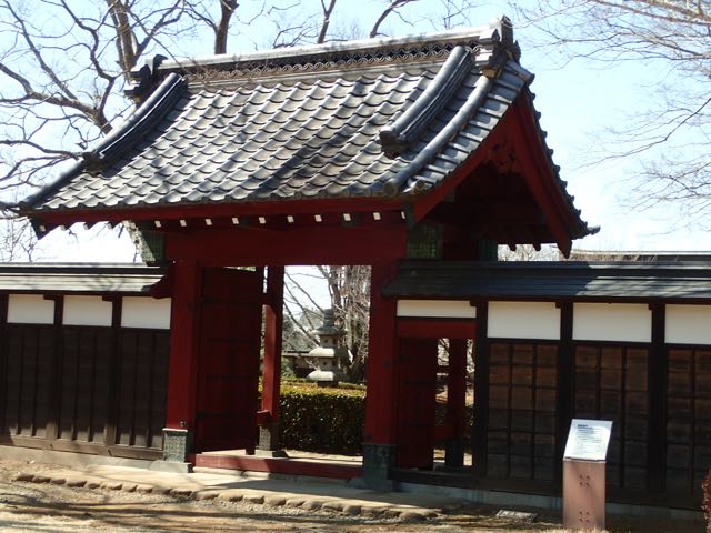 P3100050