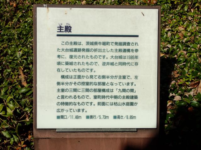 P3100053