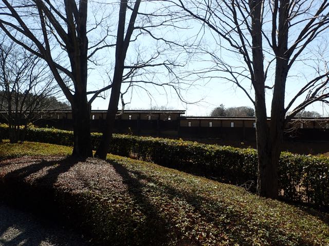 P3100059