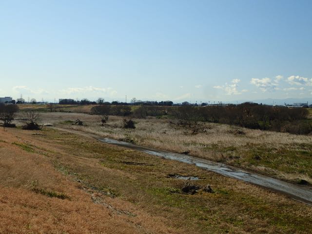 P1300005