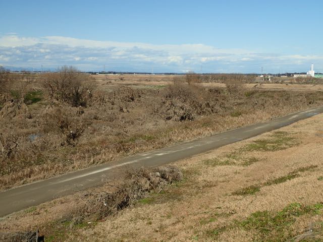 P1300006