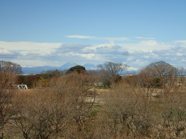 P1300008