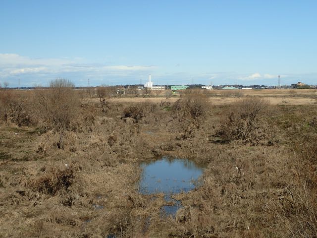 P1300010
