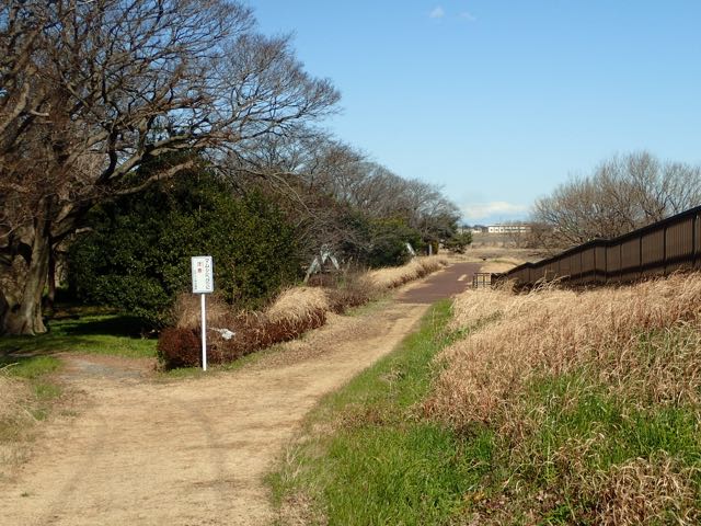 P1300014