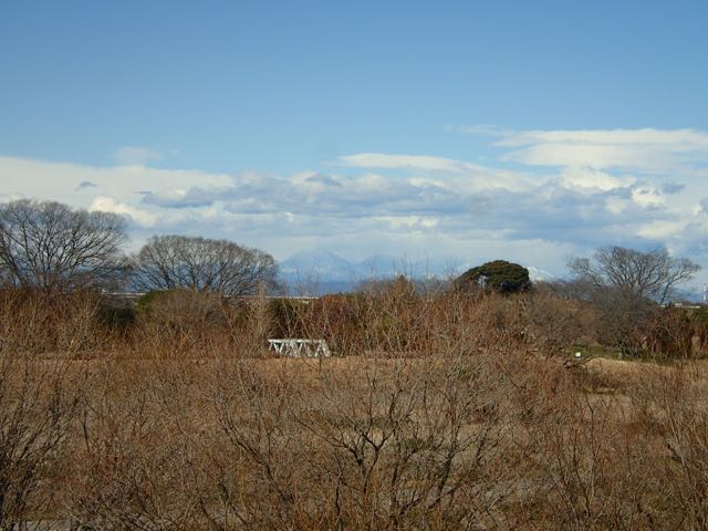 P1300038