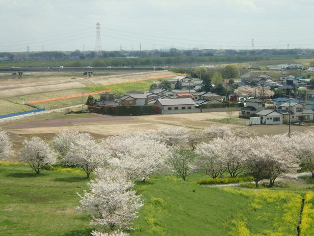 P4030002