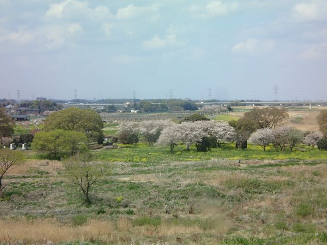 P4030005