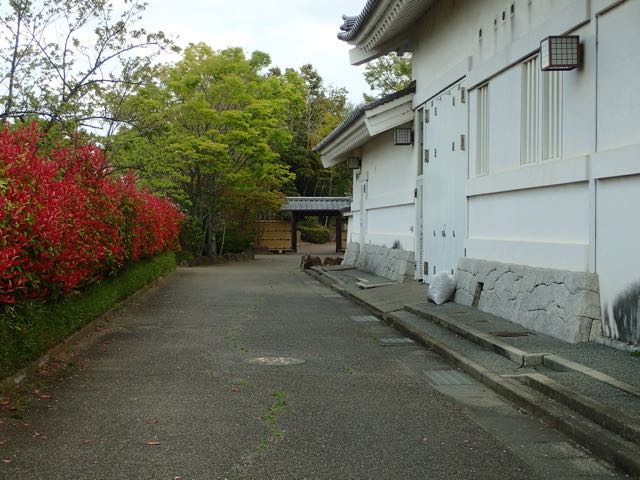 P4030011