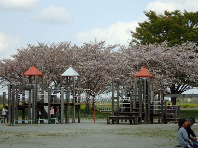 P4030015