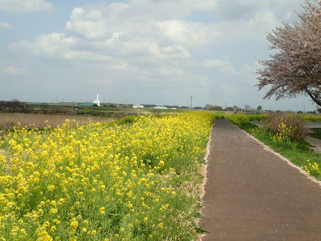 P4030019