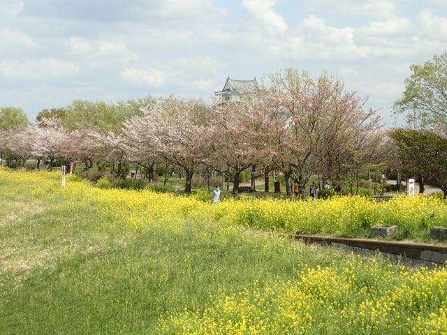 P4030031