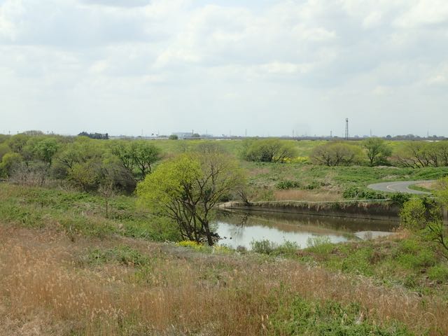 P4030034