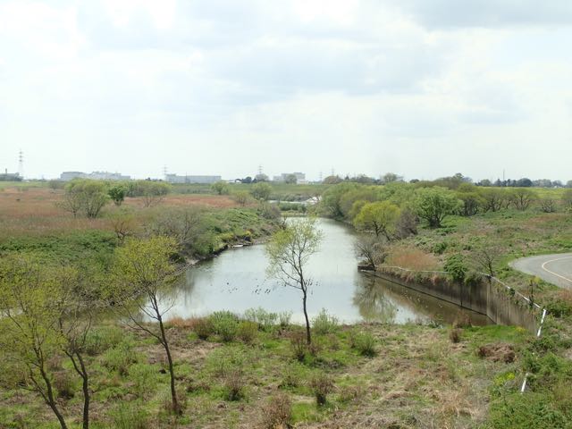 P4030040