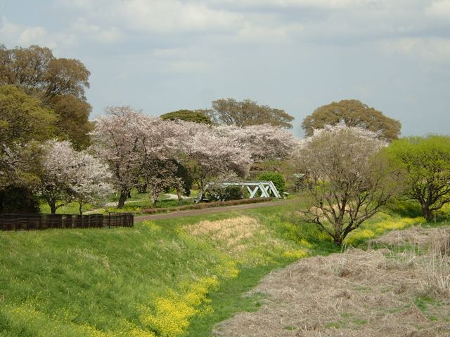 P4030049