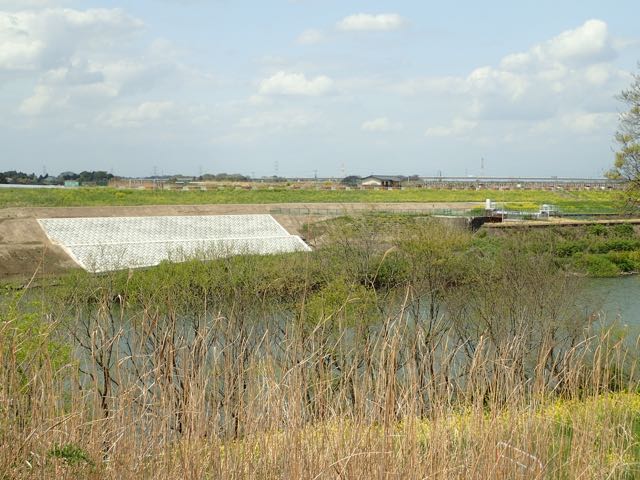 P4030050