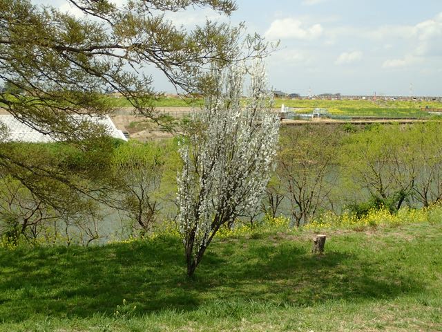 P4030052