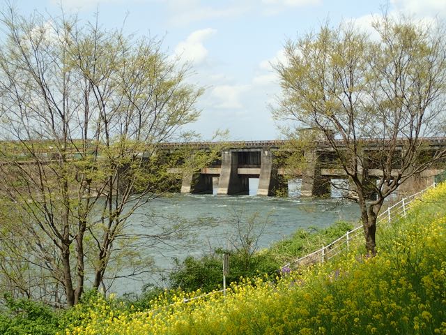 P4030056