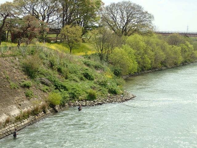P4030070