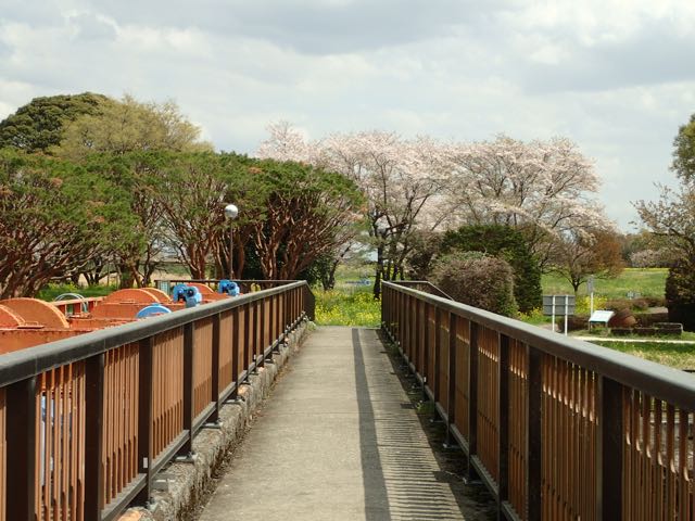 P4030072