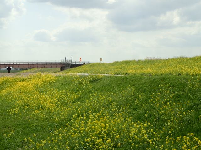 P4030077