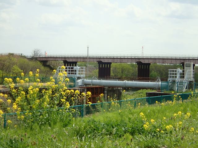 P4030080
