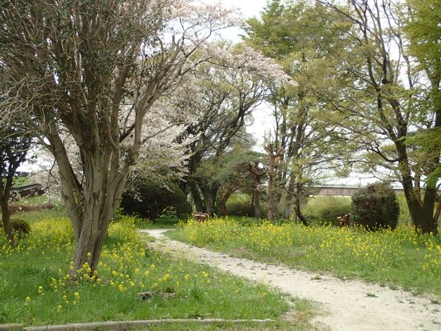 P4030096