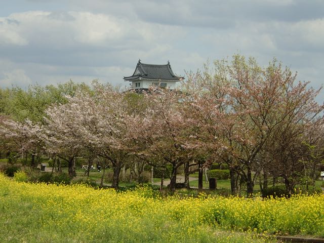 P4030103