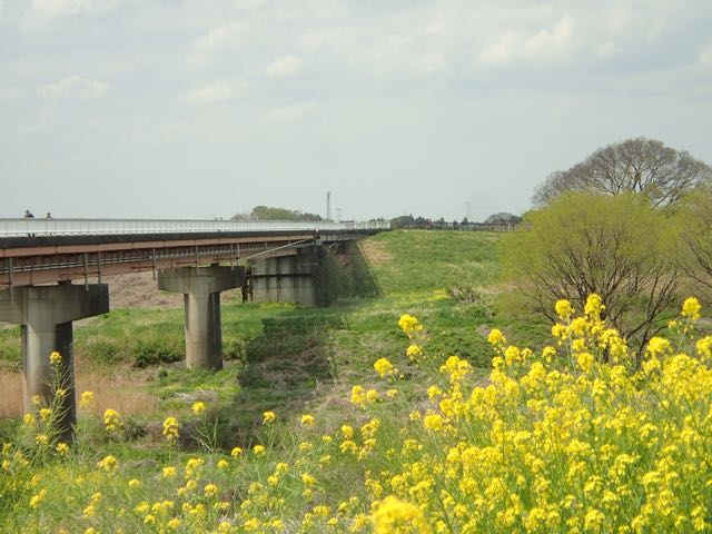 P4030105