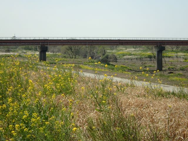 P4070010
