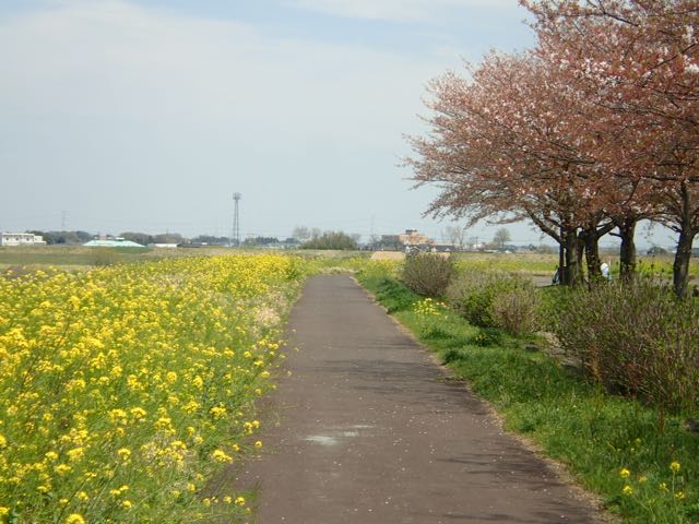 P4070015