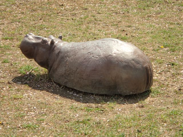 P4070023