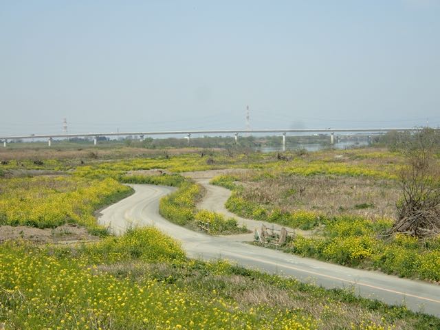 P4070026