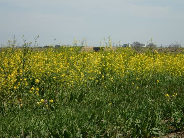 P4070036